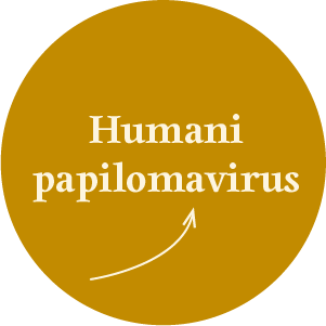 Quiz_kaj-je-hpv_Humani papilomarivus